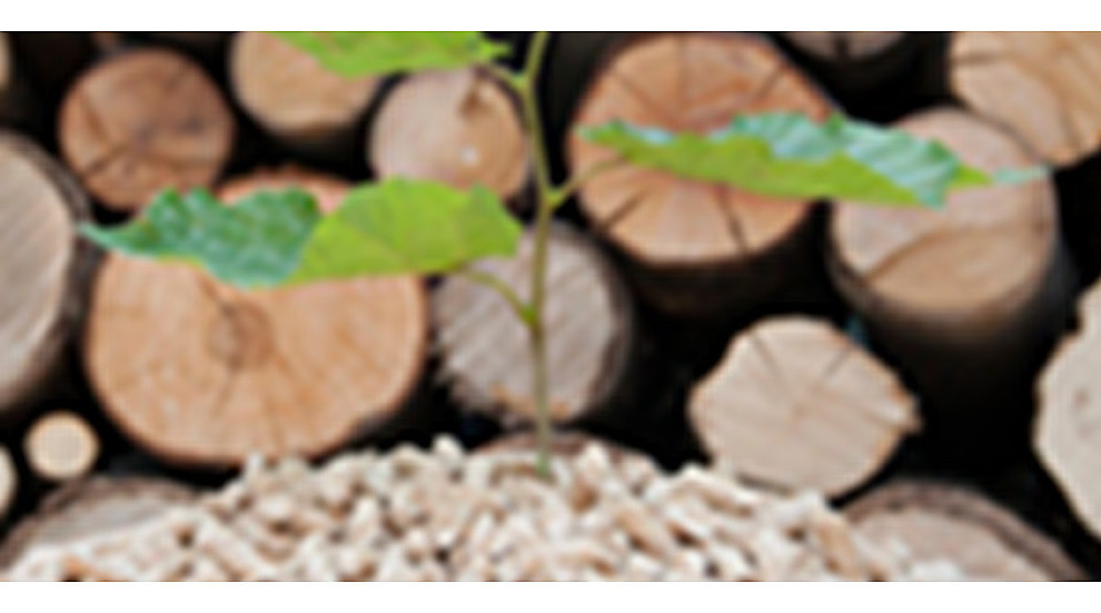 Better Biomass vraagt evaluatie