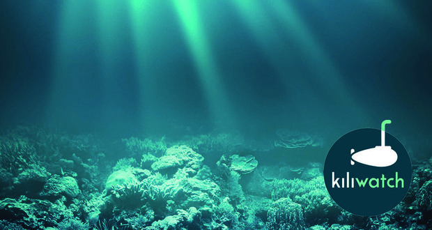 De l'administration sur la table de cuisine à l'entreprise professionnelle