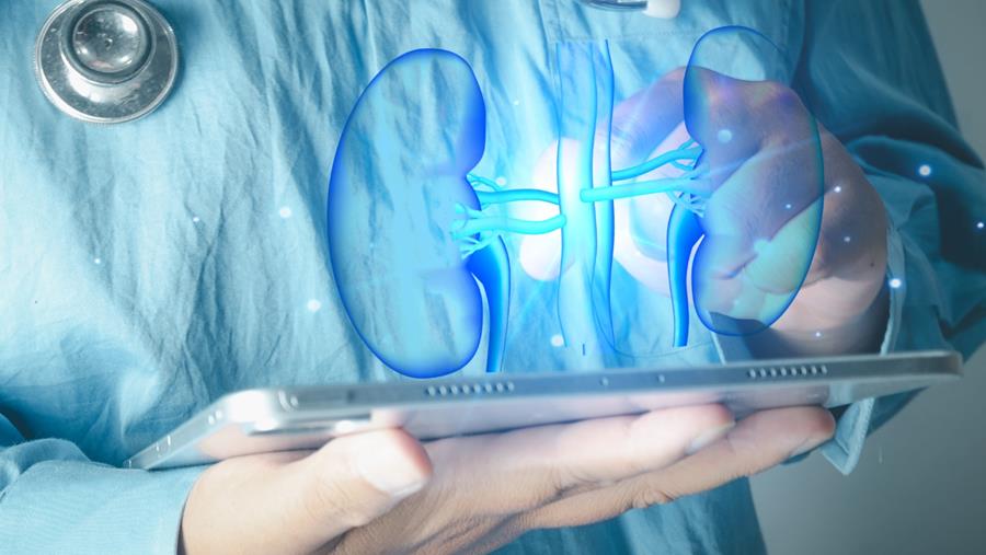 Inhoud Specialist Update Urologie