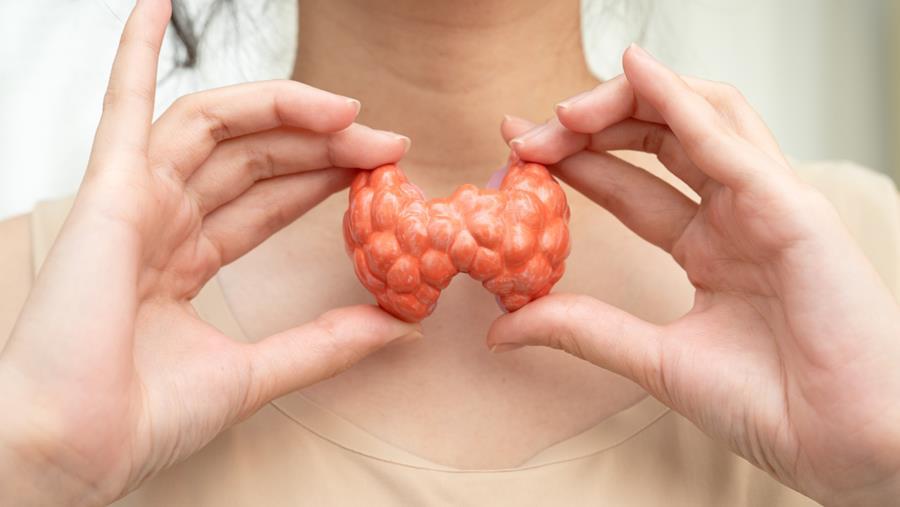 Stratégie thérapeutique additionnelle en cas d'hypothyroïdie