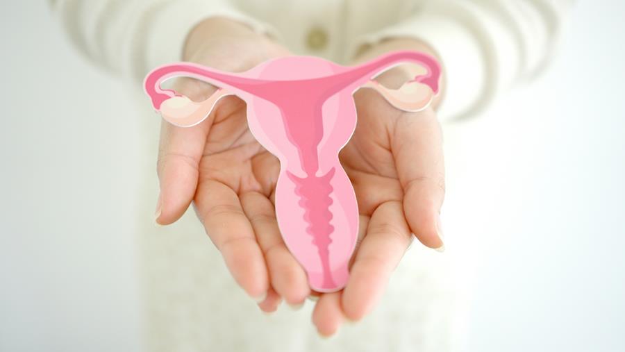 Prévention du carcinome tubo-ovarien: place de la salpingectomie opportuniste