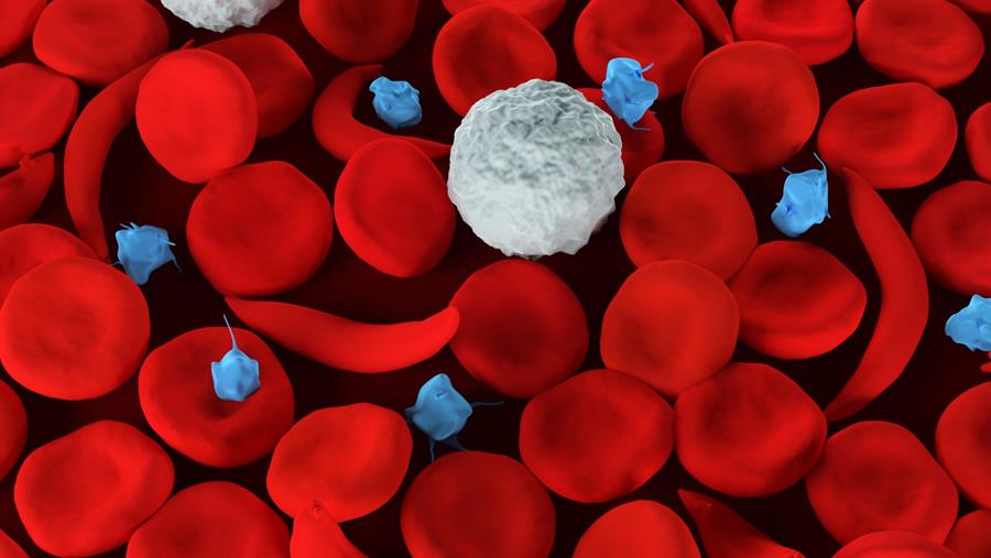 Face à la drépanocytose, la Croix-Rouge appelle les Afro-descendants à donner plus leur sang