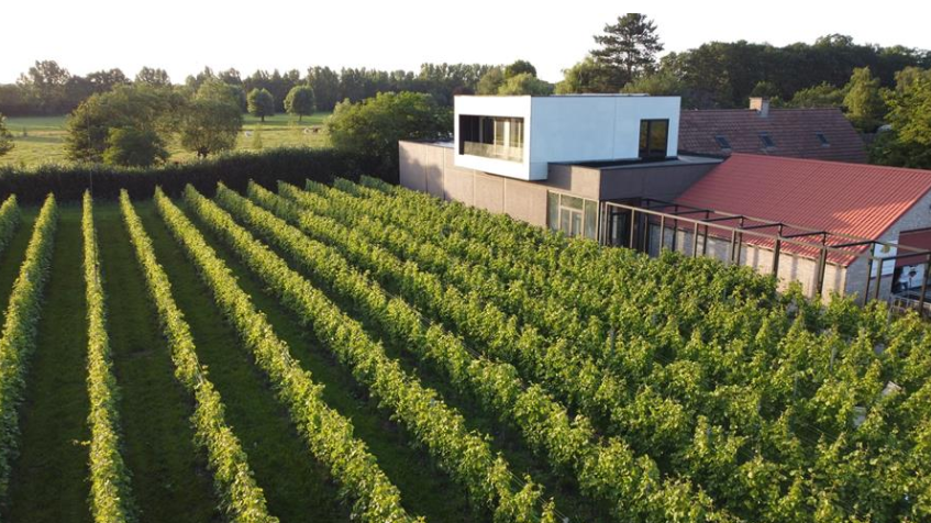 Envie de changer un peu ? Essayez le vin belge